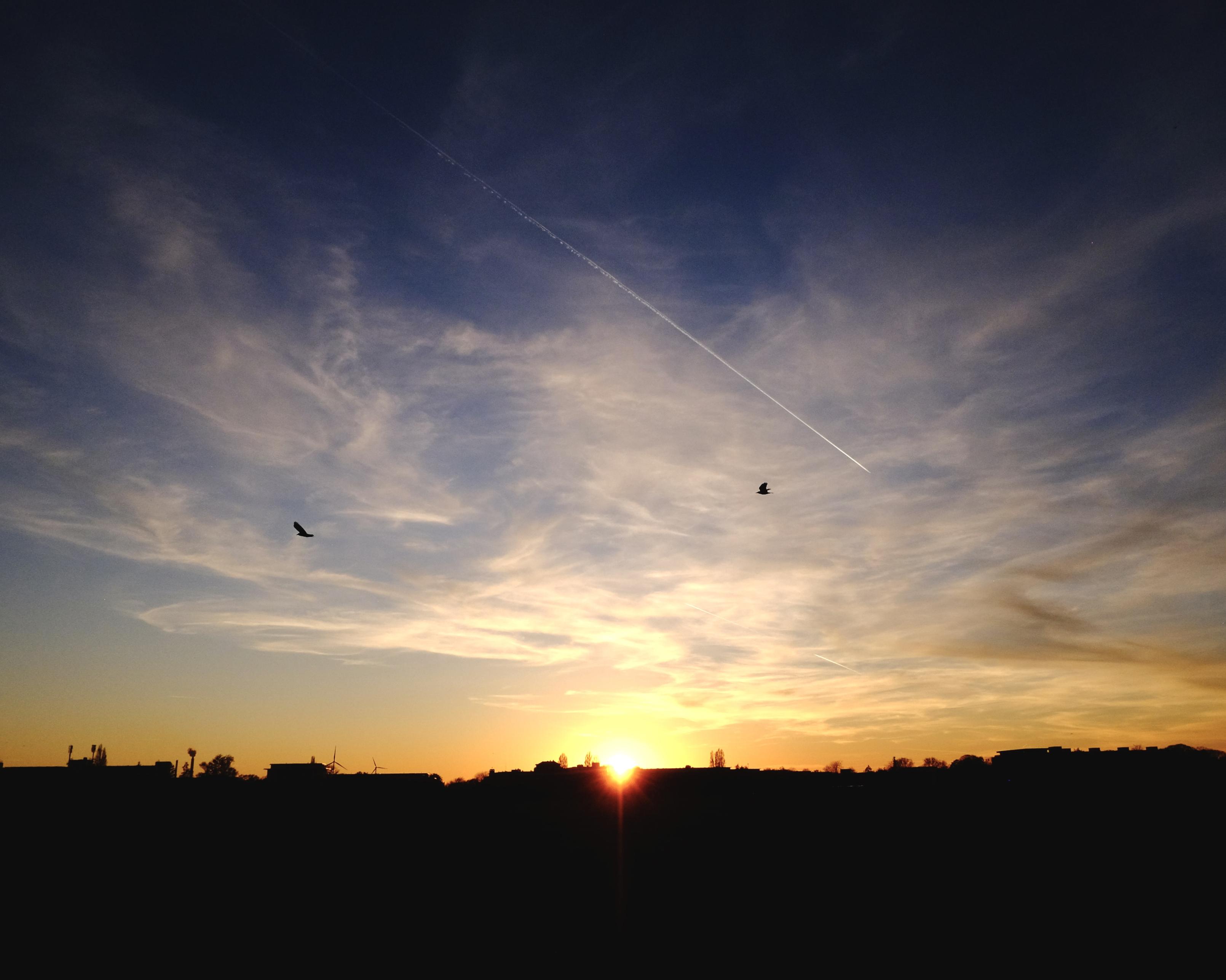 Two crows gliding against the contrasty setting night sky. The remaining rays of sunlight illuminate the clouds and convert the landscape into a shiluette. The sky also features a plane cruising into the night sky