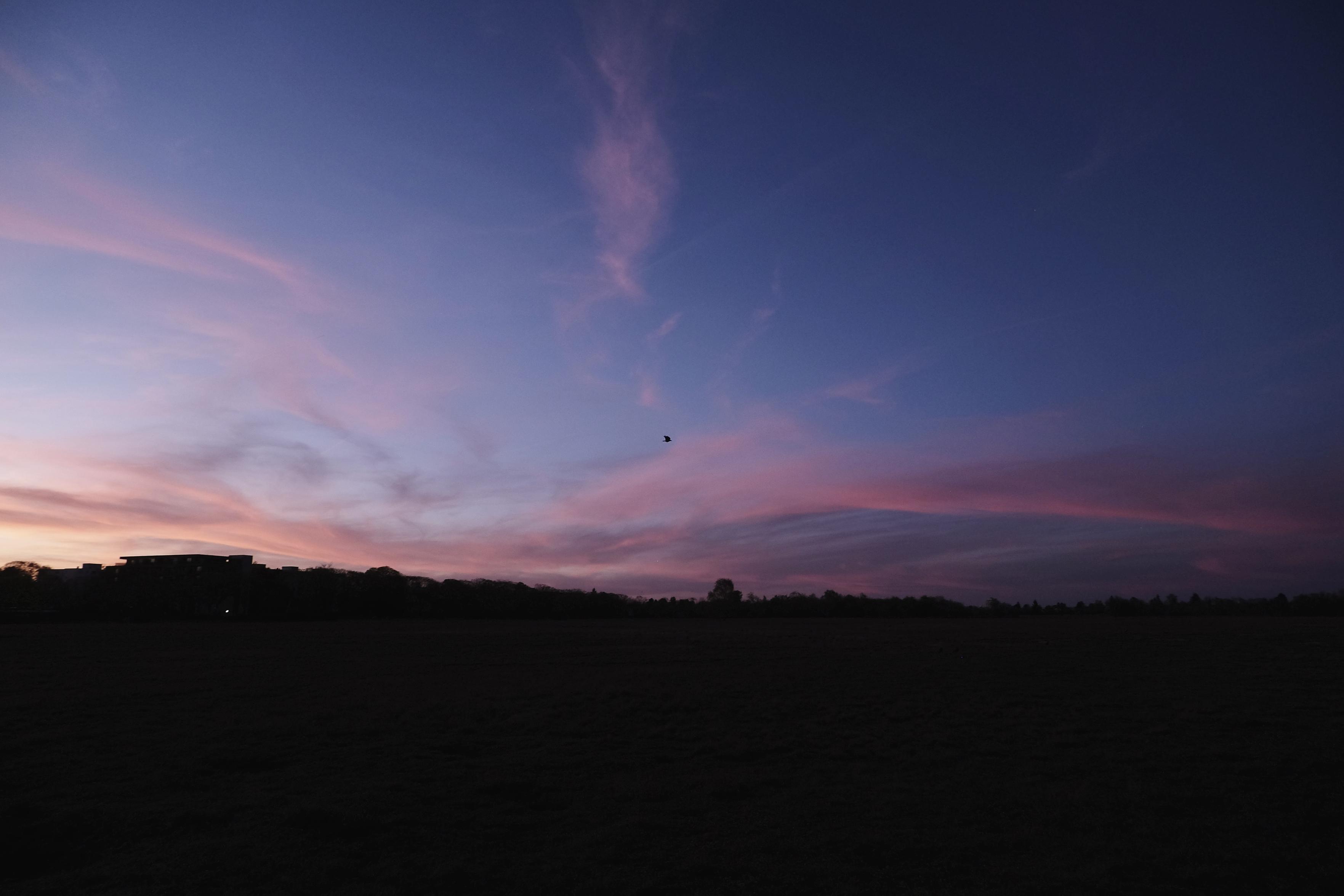 A much darker sky with pale dark blues, pink purple clouds and a single crow, almost a dot in the far distance