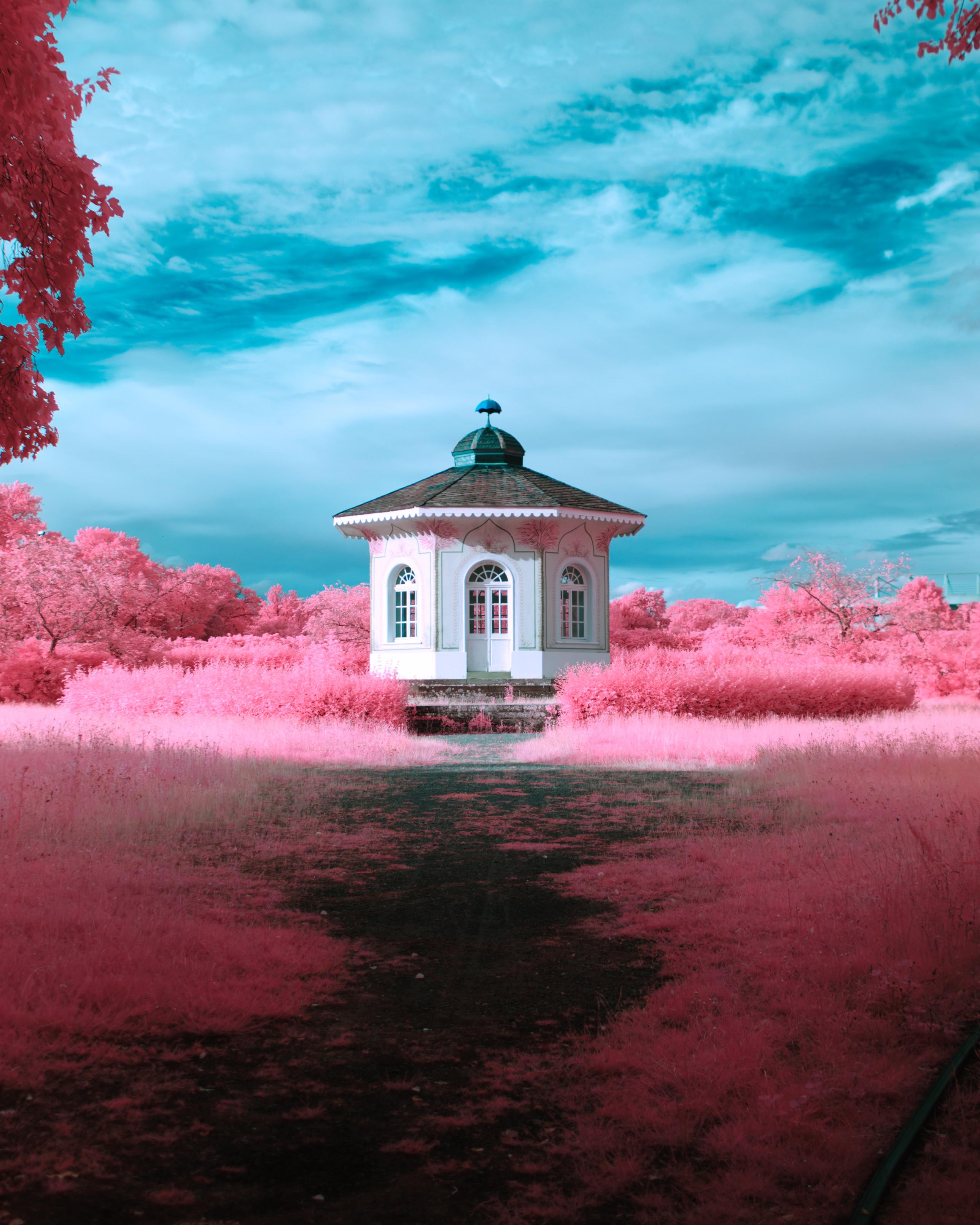 A small tea place in an overgrown garden. There’s a small hedge surrounding the octagonal, white palace. There building is simple, yet highly ornamental, with big arched windows and doors. The octagonal roof merges into a green-blue copper dome with a blue small umbrella ontop. The grass is surrounded by trees, there’s a path to the hut. All foliage is bright pink, the sky aquamarine blue