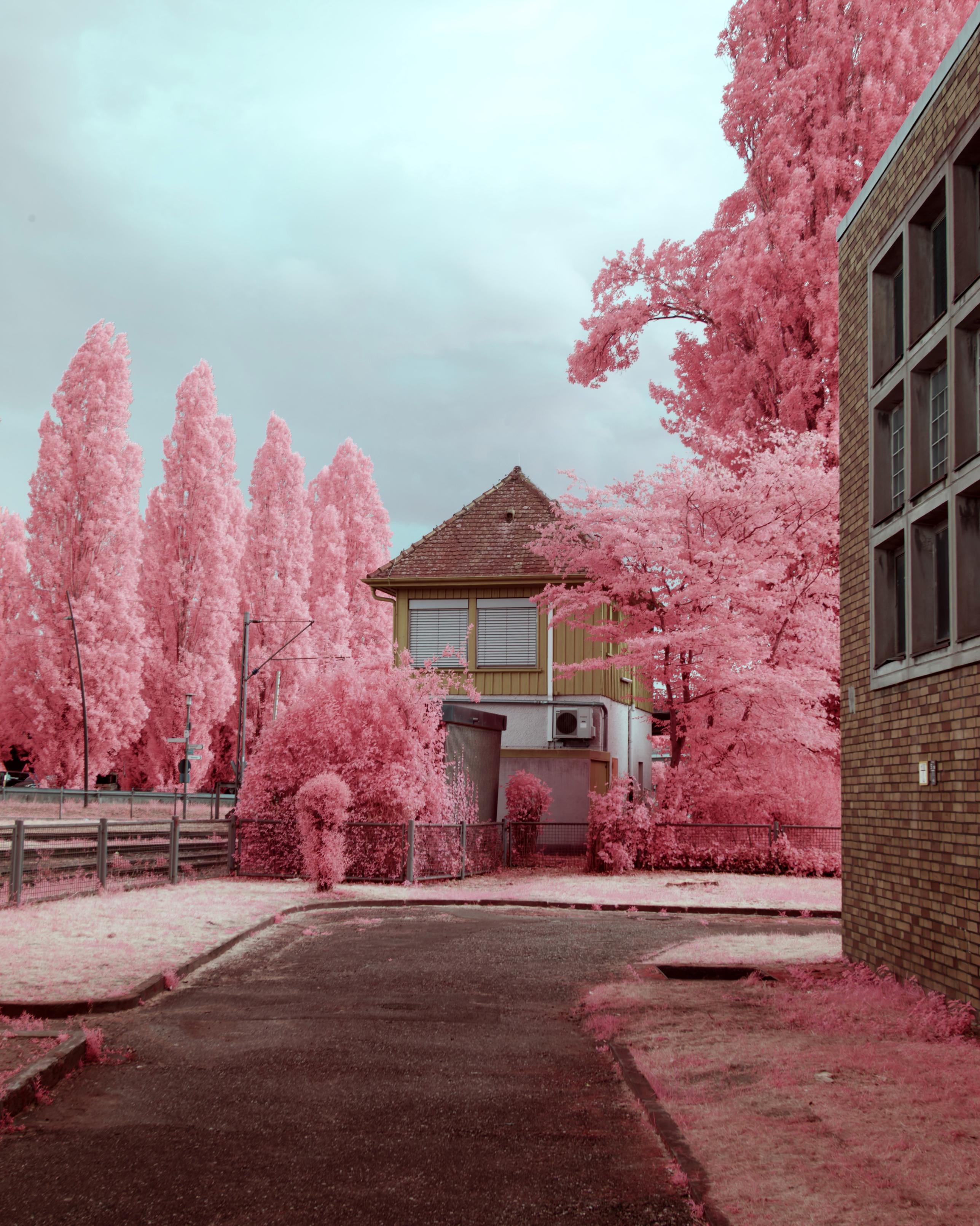 A photo of the small yellow hut. The brick building to the right is sand coloured. The hut seems to be made half of wood and the bottom of concrete. It has an ac mounted and rests next to train tracks. To the left a neat row of smaller Cyprus trees stand tall. All leaves are bright pink