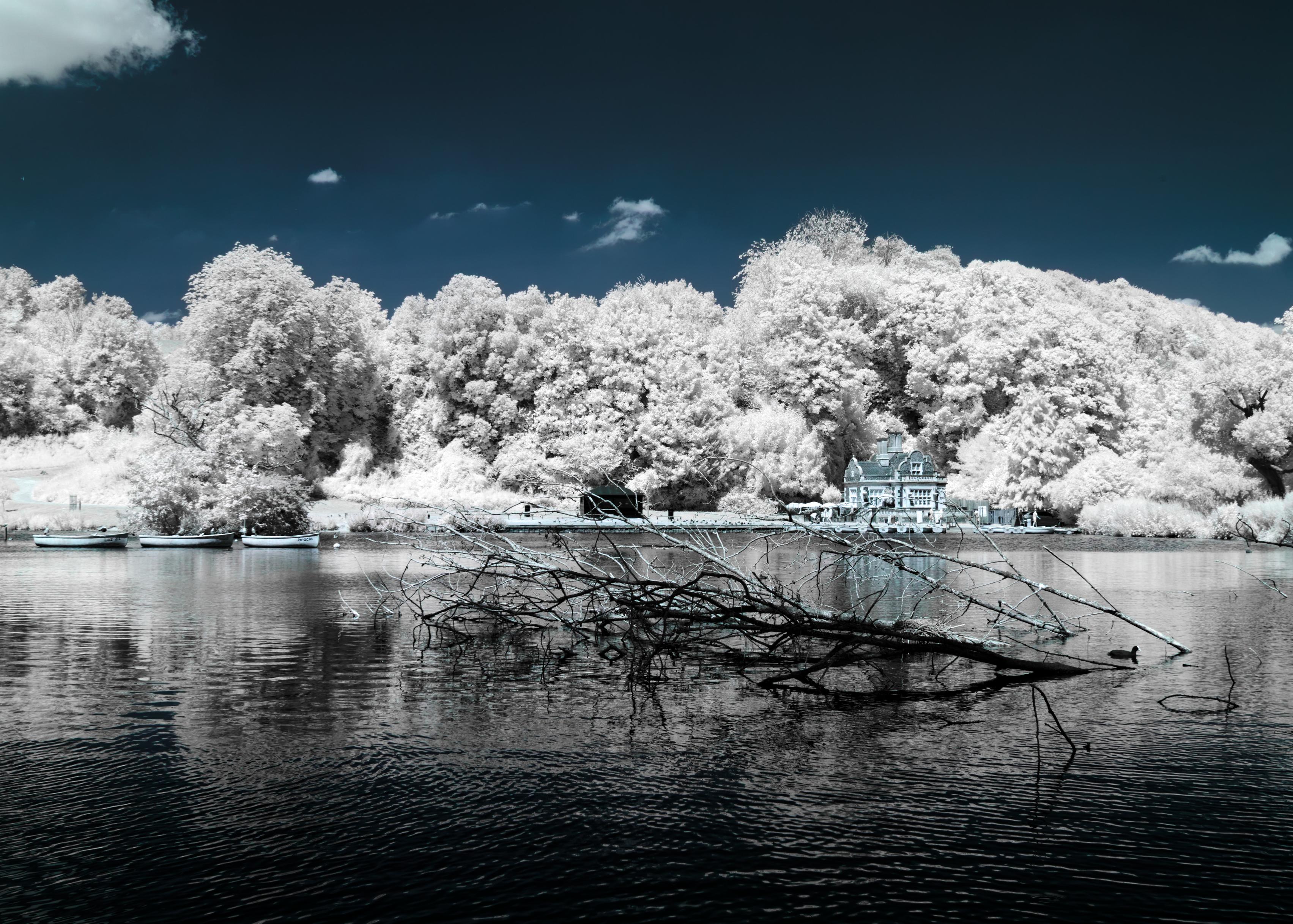 A photo over a lake, a dead tree lays in the lake, breaking the dark contrasty water. On the other side there’s a large lodge infront of a row of trees. The trees are white and glowing bright. The sky is dark blue. Everything else is contrasty and devoid of colour