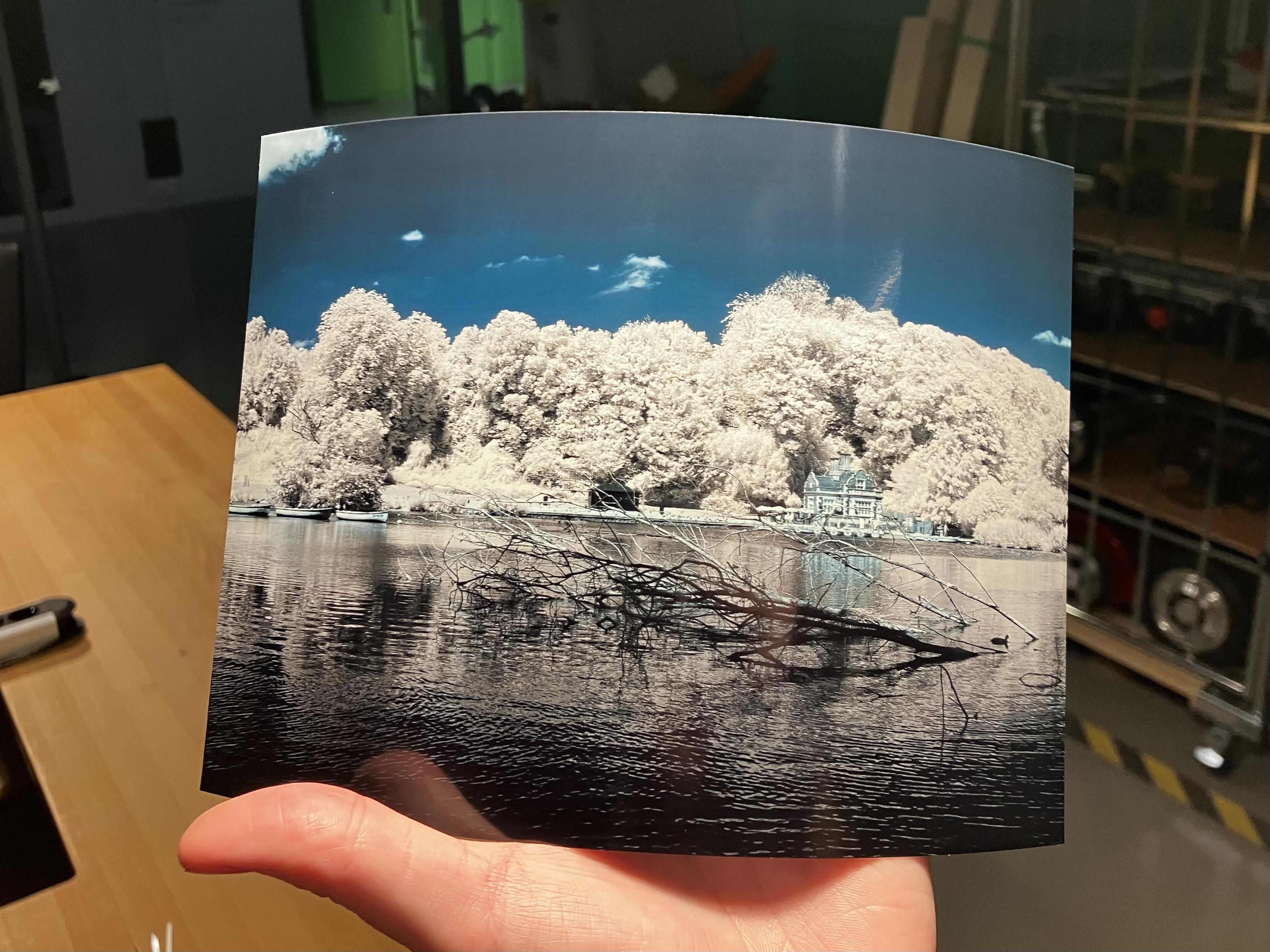 A photo of a print of the earlier photo. The colours are a bit different but it came out great. Good contrast
